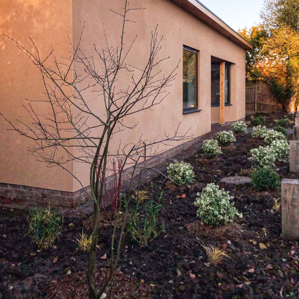 front garden border with amelanchier tree