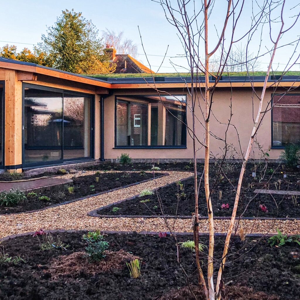 inner courtyard garden showing betula tree