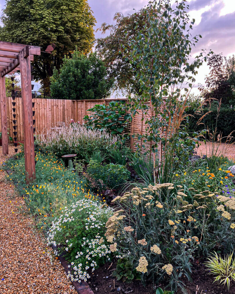 colourful borders and arch